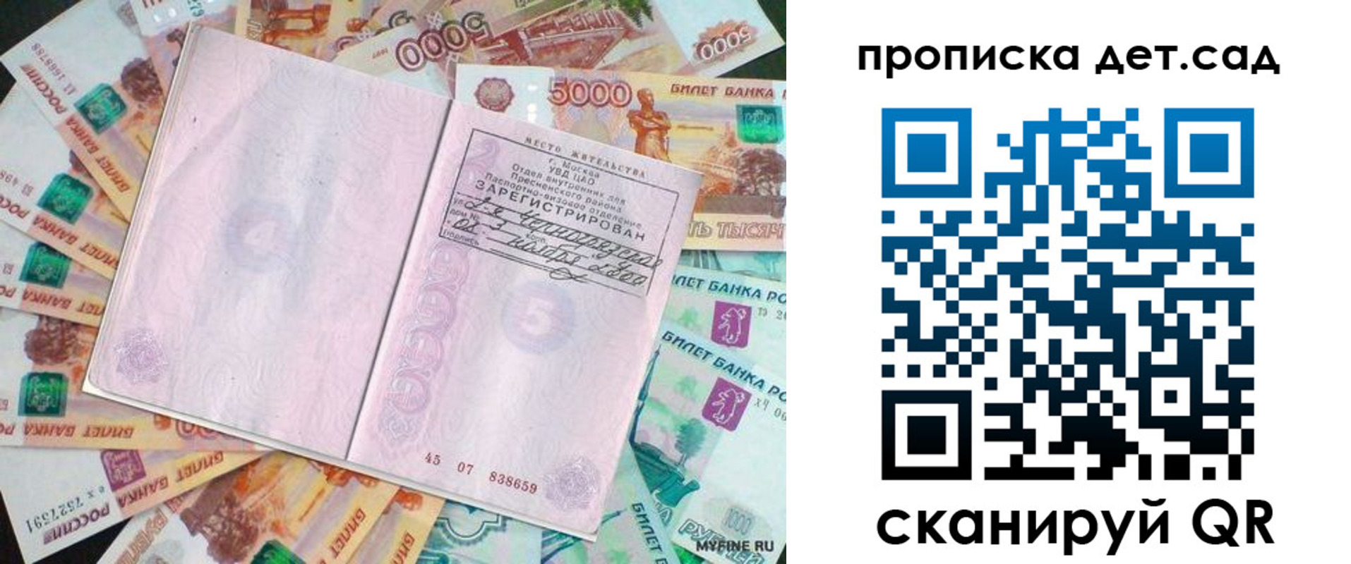 прописка поиск в Ростове-на-Дону